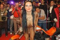 ����� �������� � ���������