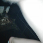 ���� ������� ������.