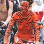 �������� ��������