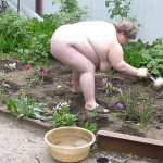 ������� �� ���� 2