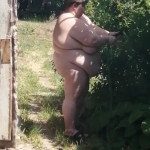 ������� �� ���� 5