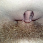 ������������� �����