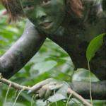 ����� ��������