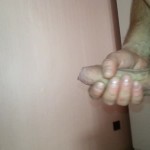 ����� ���� ����