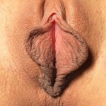 �������� ����