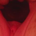 ����� ���� (����� �1) ��������� �������