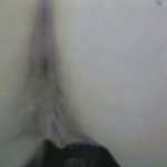 ������� ����