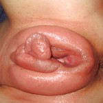 ������,������,�������� � ������� ������ ����� �����.