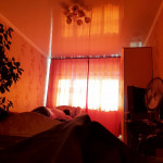 ������� ����