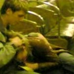 ����� �����-������ � �����