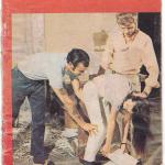 ������ ����������