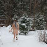 ����� � �������