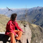 ����� 49 ���� �.2