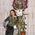 ������ 30 ���