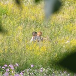 ������� �� �����