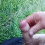 � ����� ��������