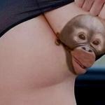 ���� ��� II