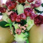 �������� �����