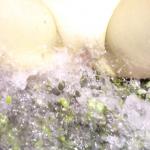 �� ������� �������