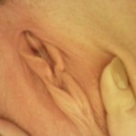 ������� ��������