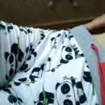 �������� ���� ��������