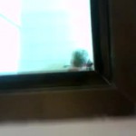 ������������� ���� � �������