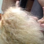 �������� �������� (HD)