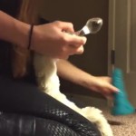 ��������� ����� ���������� �� ����-�������