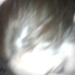 ��� � ��� (HD)