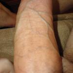 22�� �� �������