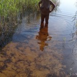 ������������ � ����.