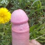 ��� �� ��� ��� �����