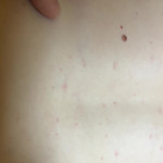 � ������