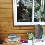 ���� �� �������...