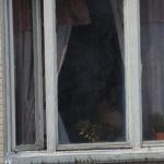 � ���� ��������