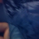 ������ ���� ��� ����