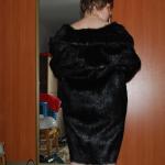 �������� ����