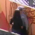 ���� ������������ �������