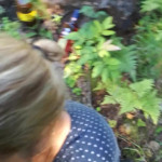 �� ������ ������� � ����� 2