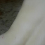 ����� � ����