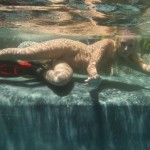 ���� ��� �����!