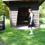 ��������� � ��������