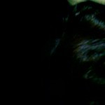 ����� ���