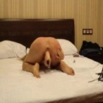 ������� ����, �������� � ������!