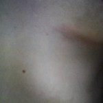 ������ ����