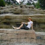 ������� �� ������