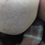 Ҹ��� 59 ��� ����� ����