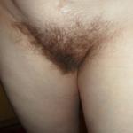 ������� ���������