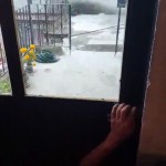 �� ������������