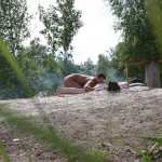 ���� �� �������